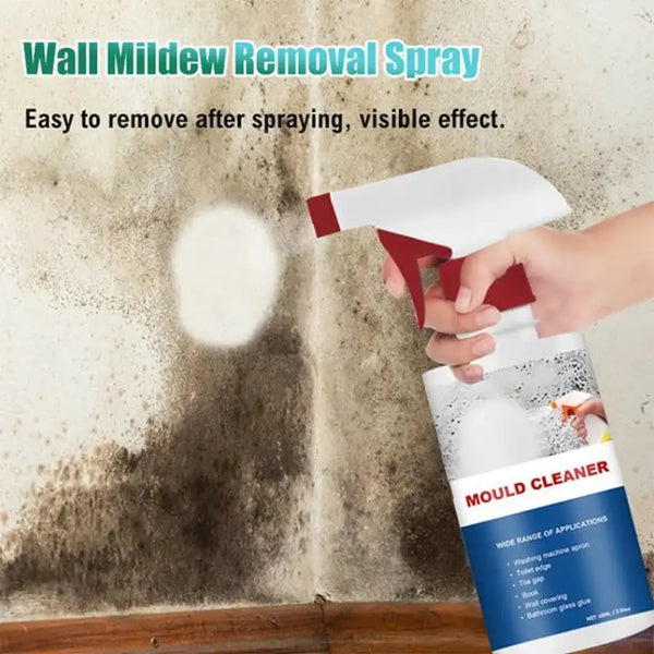 🔥Hot Sale-Mildew Cleaner Foam🦠