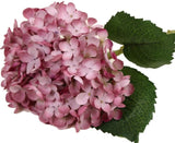 🔥Last Day 49% OFF🔥Outdoor Artificial Hydrangea Flowers💐