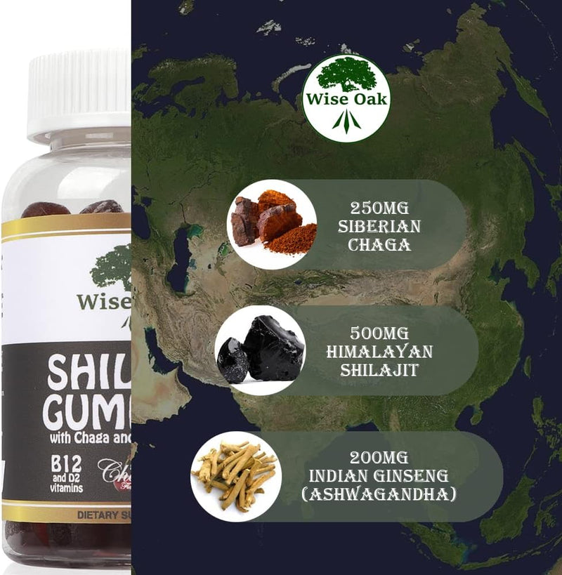 Shilajit Gummies Naturally Vegan Supplement