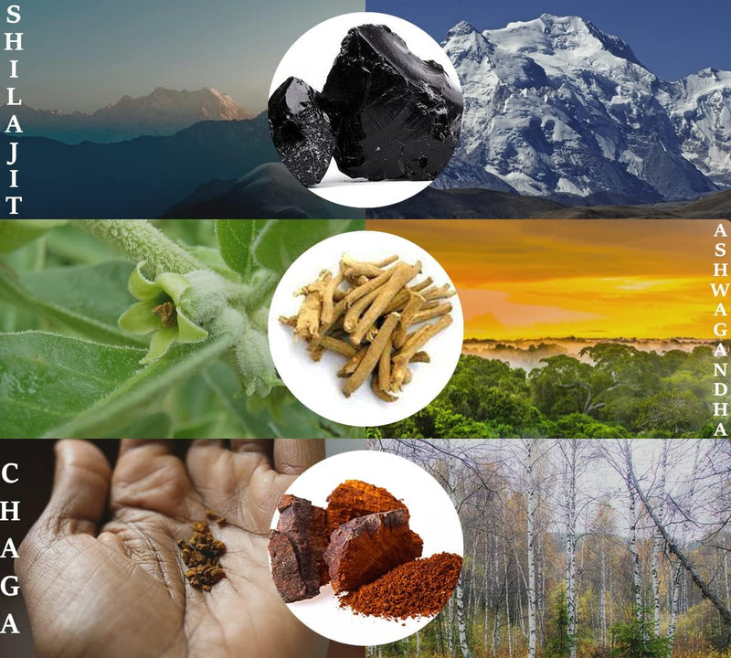 Shilajit Gummies Naturally Vegan Supplement