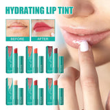 24-Hours Moisture Hydrating Lip Tint - BUY 2 GET FREE SHIPPING