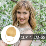 🔥2024 new hot sale 49% off🔥Seamless 3D Clip-In Bangs Hair Extensions