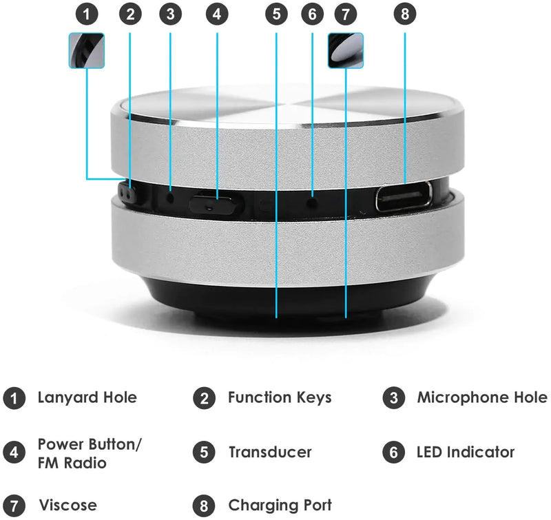 THE MIGHTY MINI HUMBIRD SPEAKER