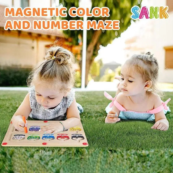 🎁💐Magnetic Color and Number Maze