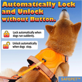 Retractable Leash Set All-in-One.