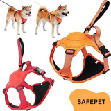 Retractable Leash Set All-in-One.