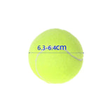 🐶Pet automatic moving ball⚾