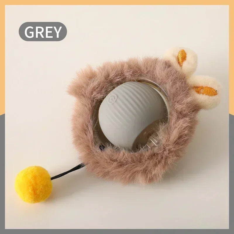 Interactive Rolling Ball for Pets