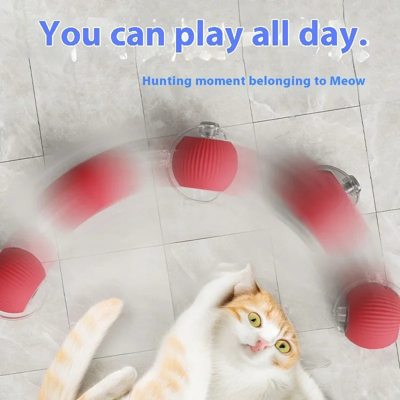 Interactive Rolling Bal