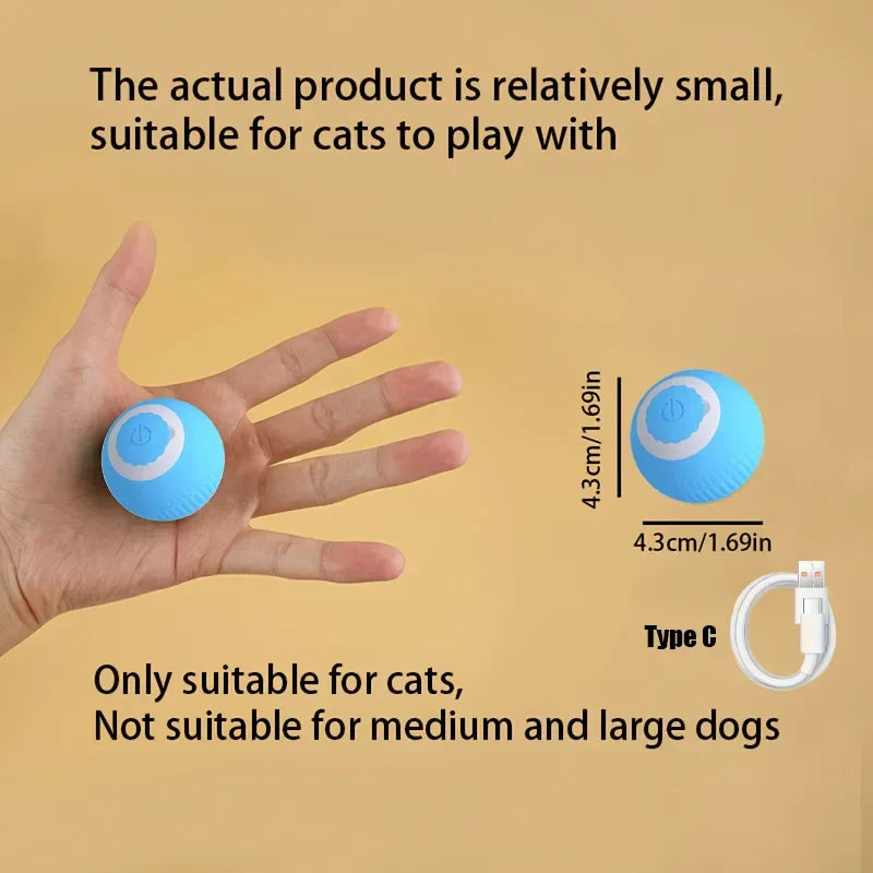 Interactive Rolling Bal