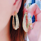 🔥Today's Specials🔥Fashion Oval Earrings