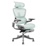 Hinomi H1 Pro Ergonomic Office Chair