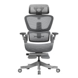 Hinomi H1 Pro Ergonomic Office Chair