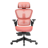 Hinomi H1 Pro Ergonomic Office Chair