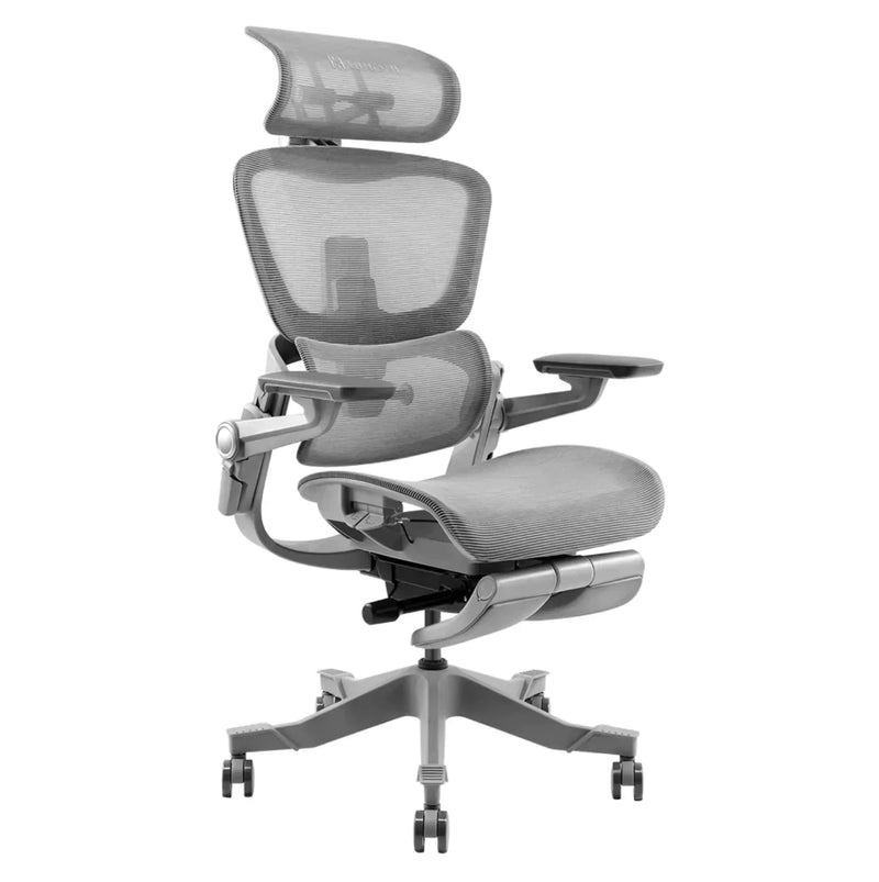 Hinomi H1 Pro Ergonomic Office Chair