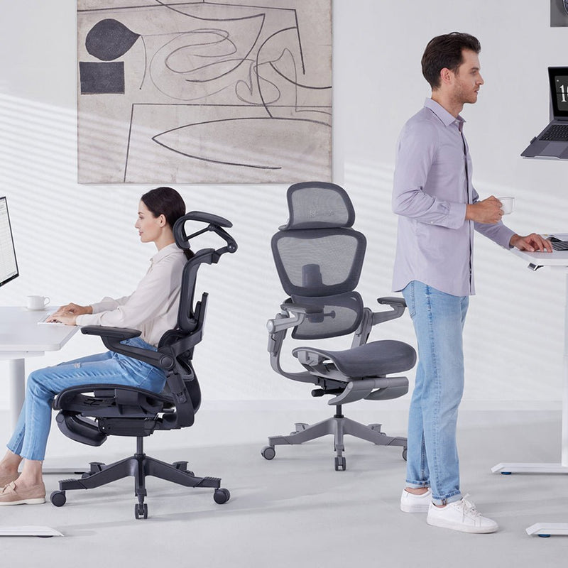 Hinomi H1 Pro Ergonomic Office Chair