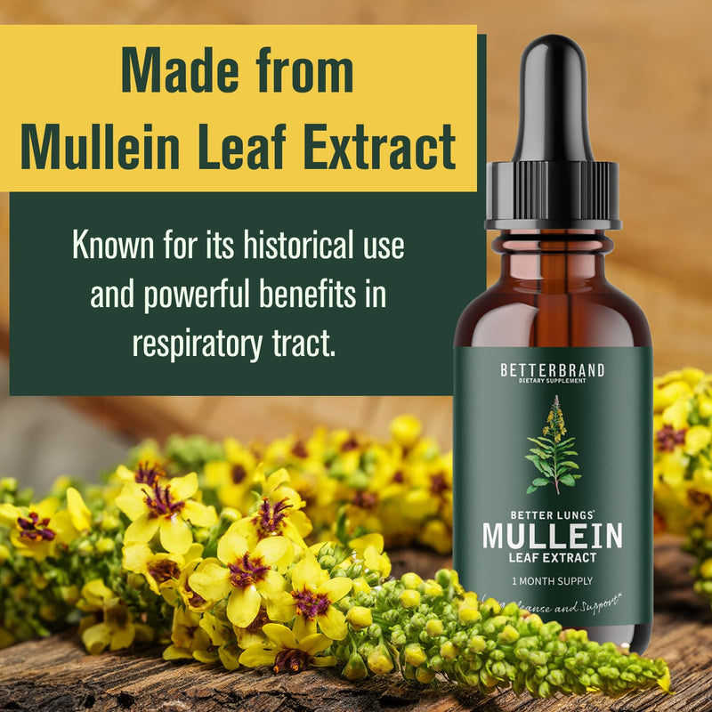 BetterLungs Mullein Leaf Extract