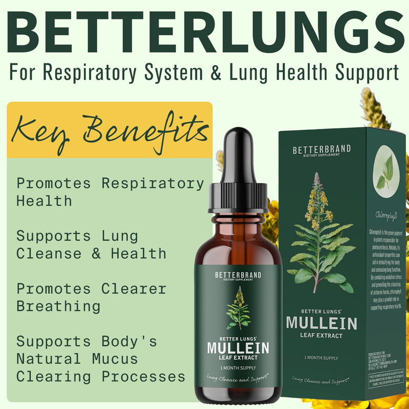 BetterLungs Mullein Leaf Extract